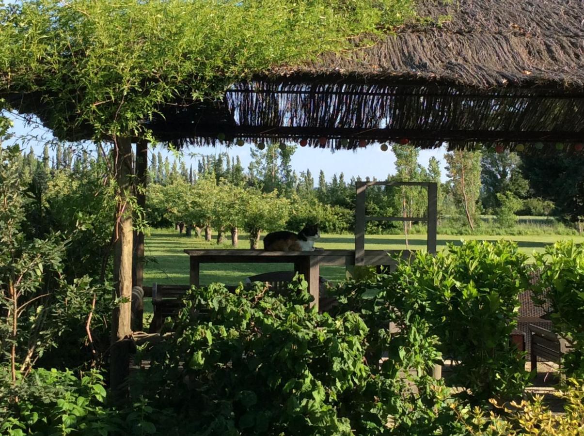 La Bergerie De Castellan Bed & Breakfast Verquieres Bagian luar foto