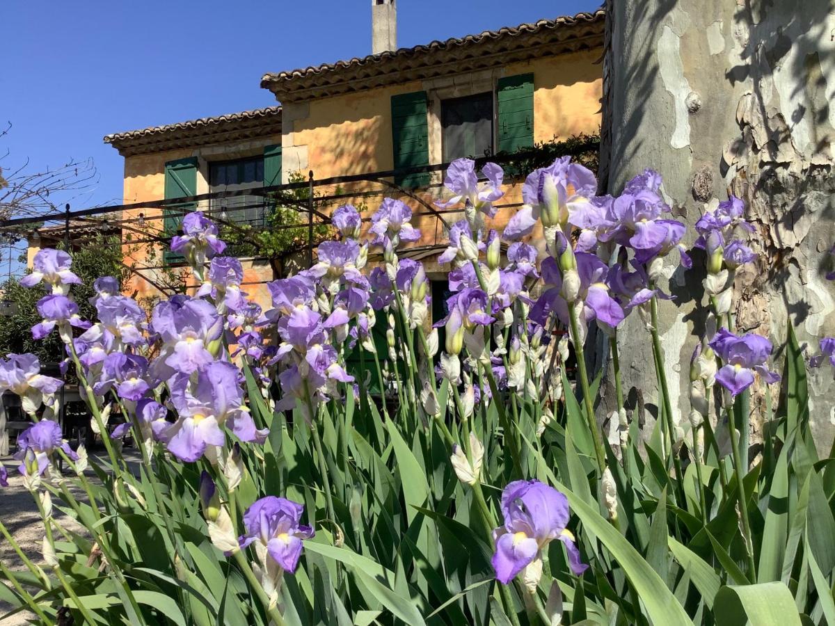 La Bergerie De Castellan Bed & Breakfast Verquieres Bagian luar foto